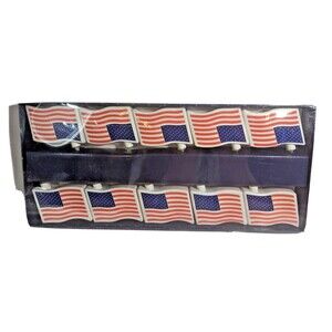 Liberty Lane American Flag Party Lights 10-pc Patriotic Entryway Mantel Gift NEW